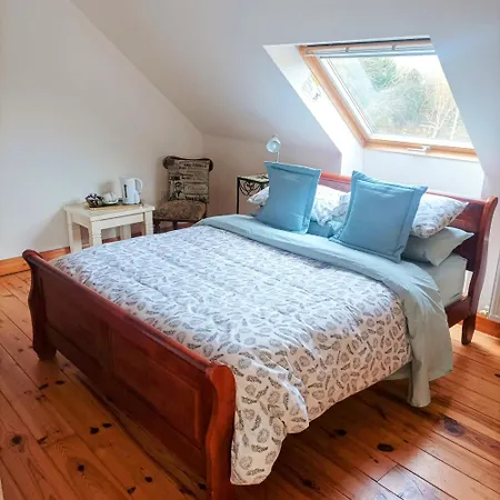 Country Lane Homestay szállás Westport